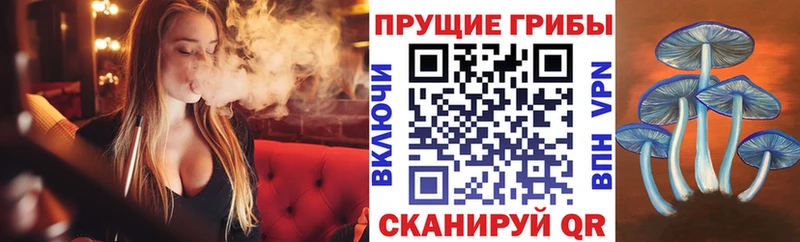 Галлюциногенные грибы мицелий  Армавир 