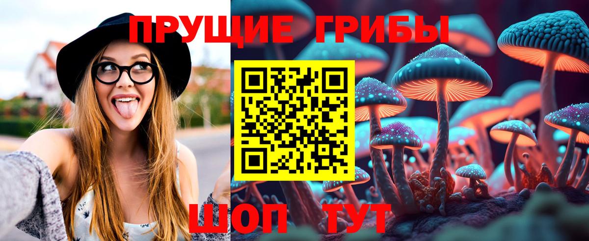 Псилоцибиновые грибы Cubensis Армавир