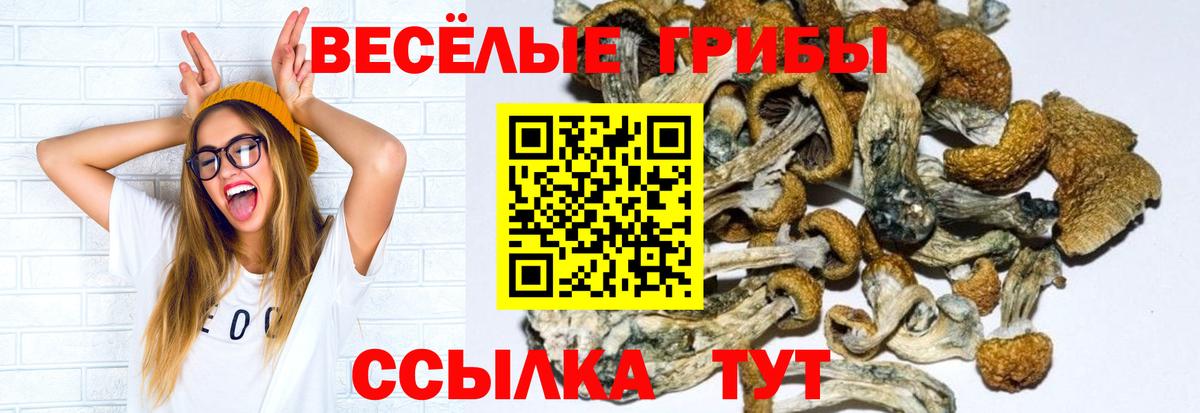 Армавир  Галлюциногенные грибы MAGIC MUSHROOMS  Вход с VPN  Псилоцибиновые грибы Cubensis 
